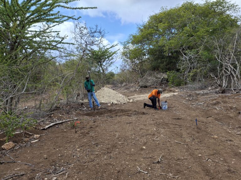 Construction Of The Main Road Begins!