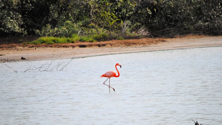 Public Access To The Salt Pans.